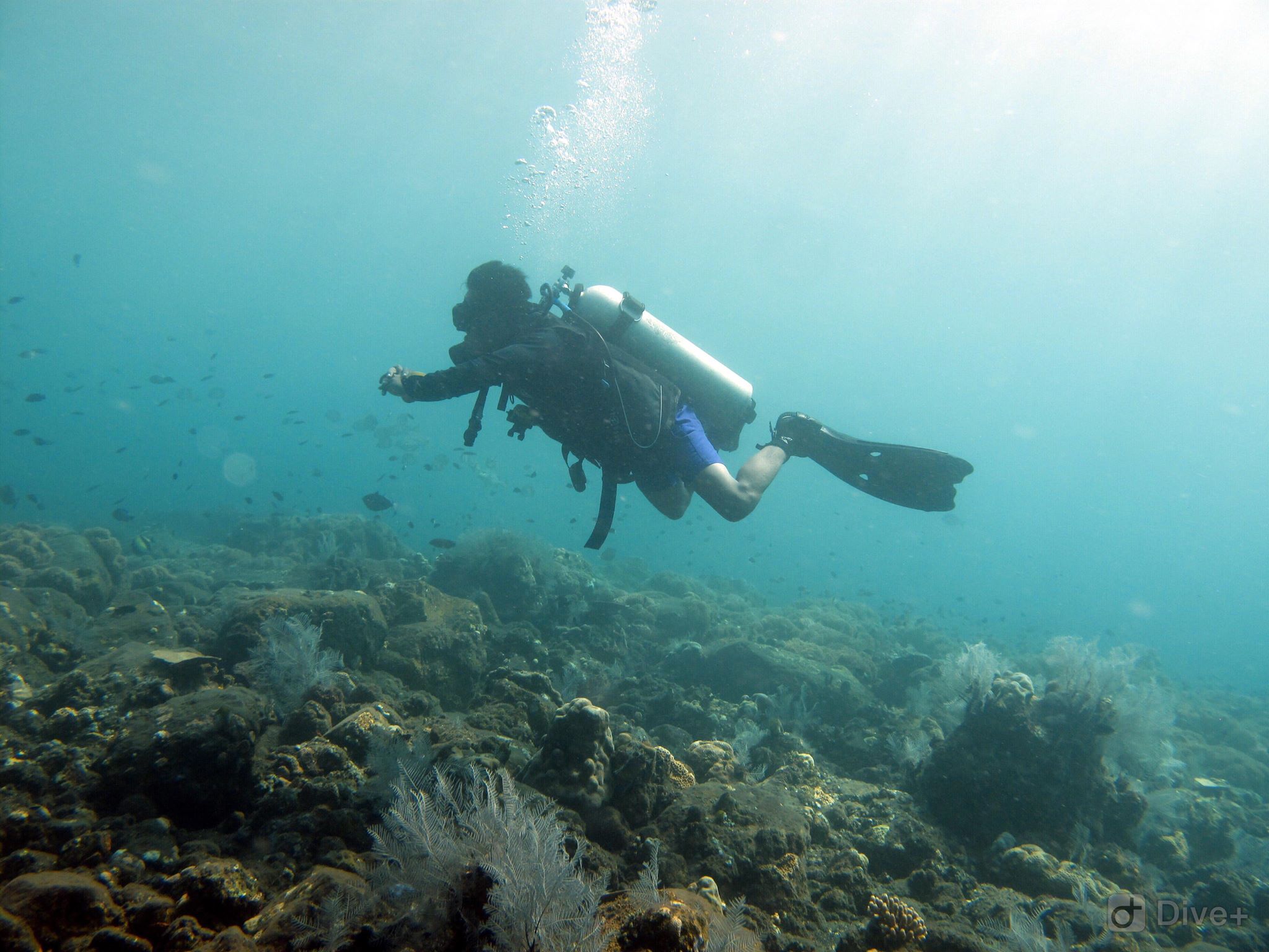 Gede diving in Tulamben