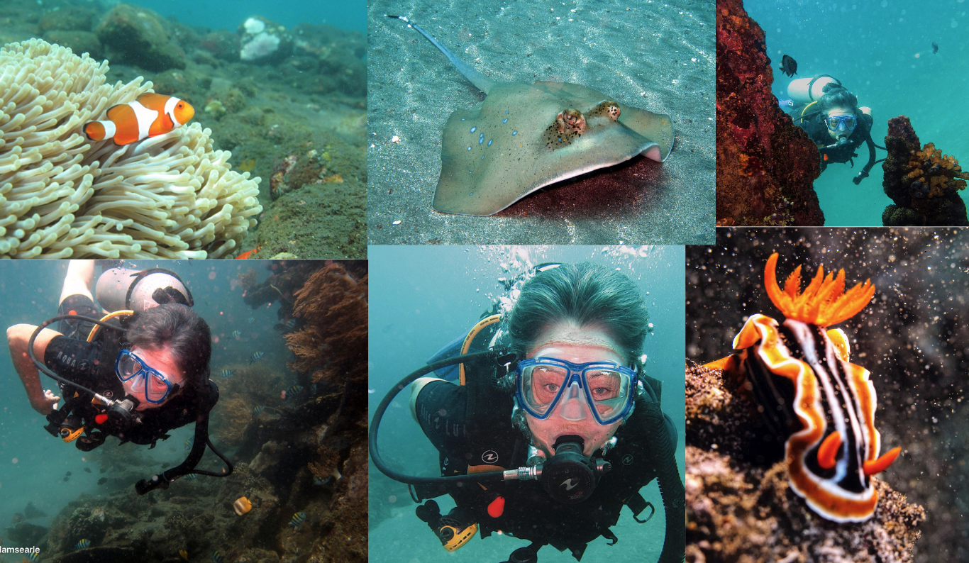 Meryl diving on the Japanese shipwreck