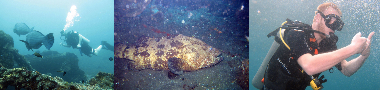 Fin diving on the USAT Liberty in Tulamben