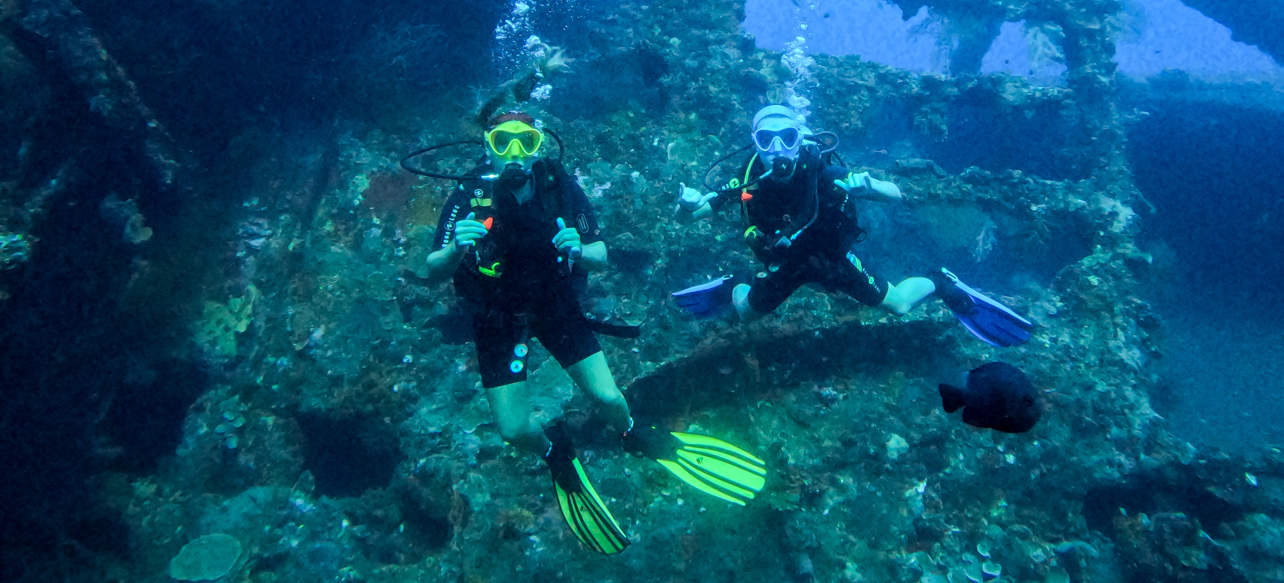 Mastering the Buddy Check for Scuba Divers