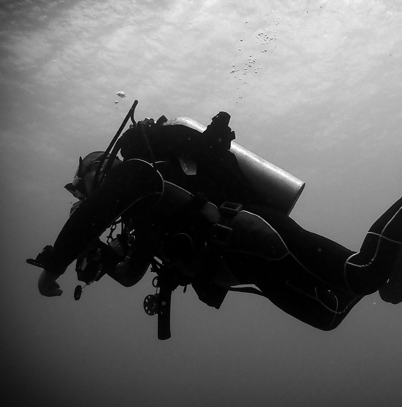 The Ocean's Secrets: Debunking Common Scuba Diving Myths