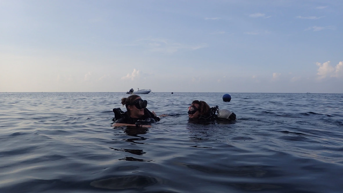 how to troubleshoot common dive issues at the surface