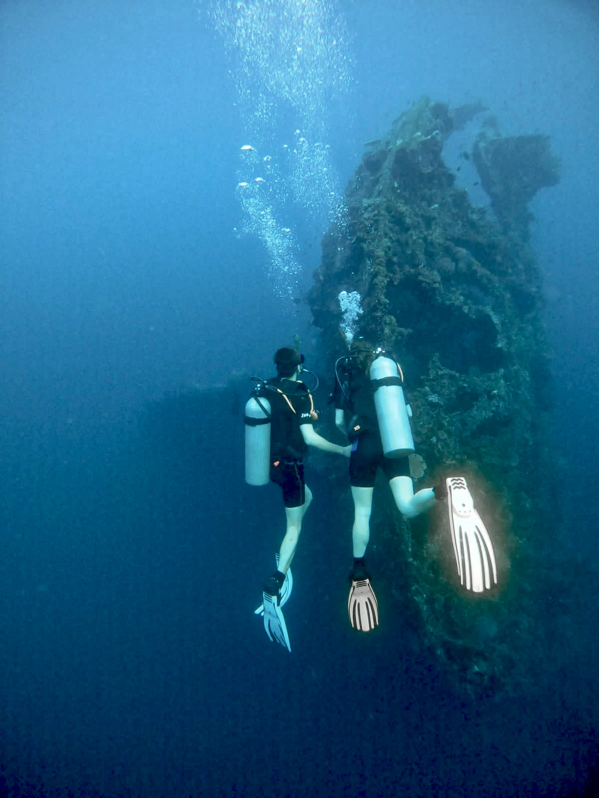 what is wreck diving? Exploring sunken man made structures underwater 