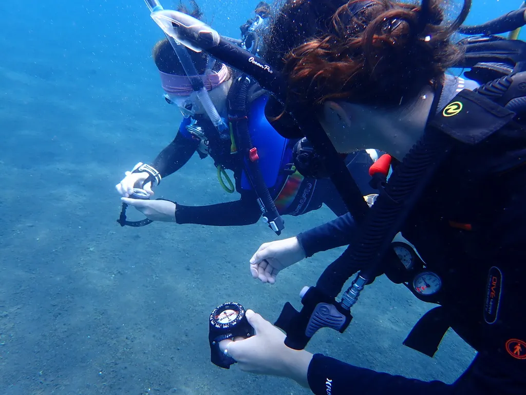 using an underwater compass to help with navigation problems 