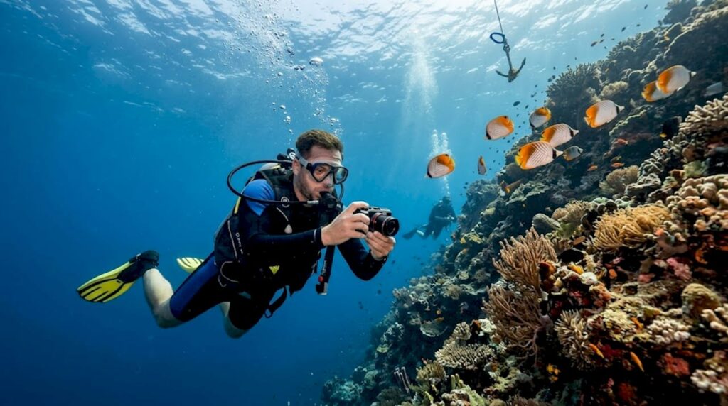 Diver gliding by Bali coral wall
